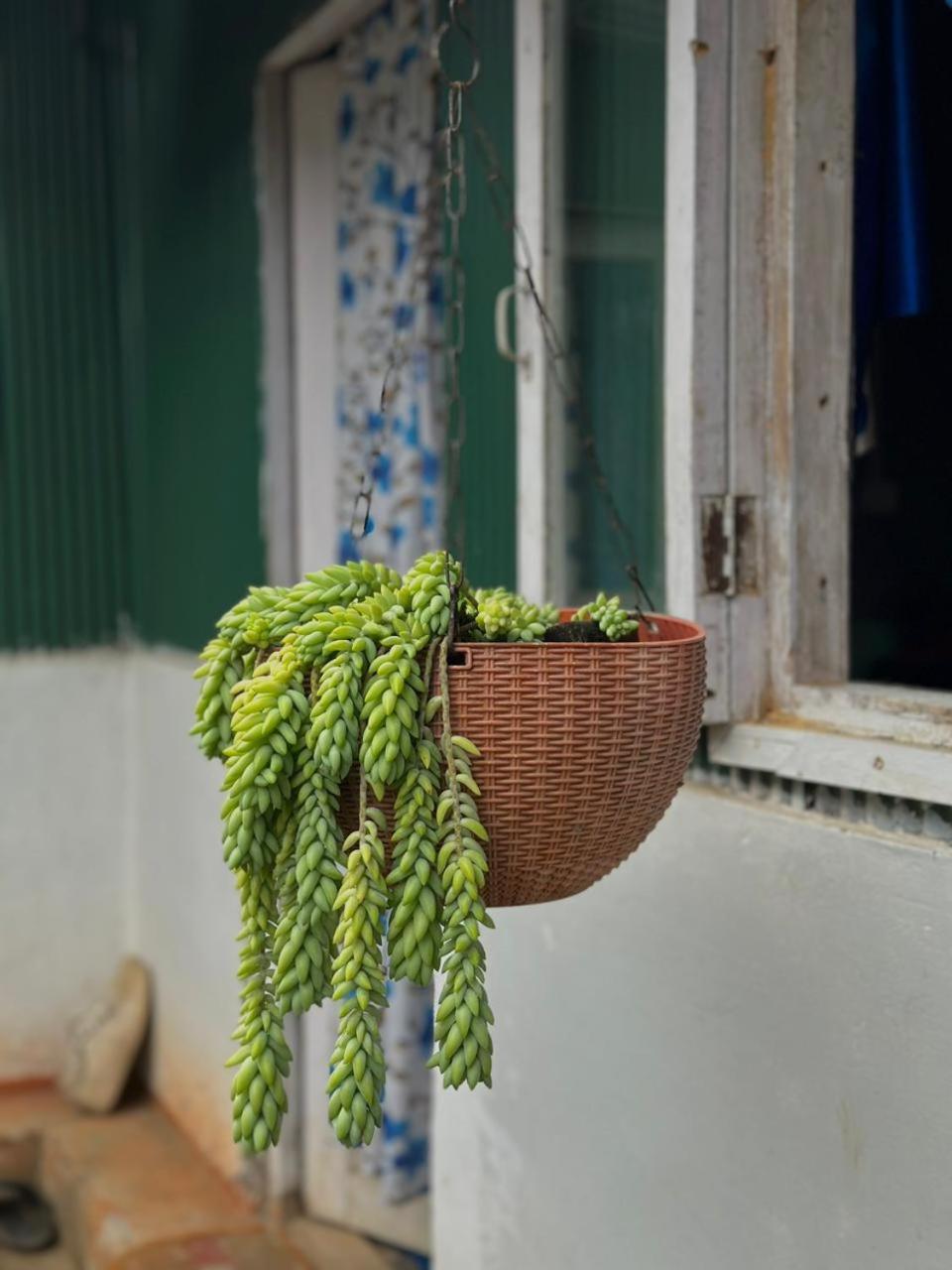 Eviana Homestay دارجيلنغ المظهر الخارجي الصورة